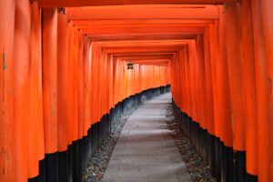 5月の京都市伏見稲荷大社の千本鳥居02