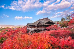 kyoto_img02