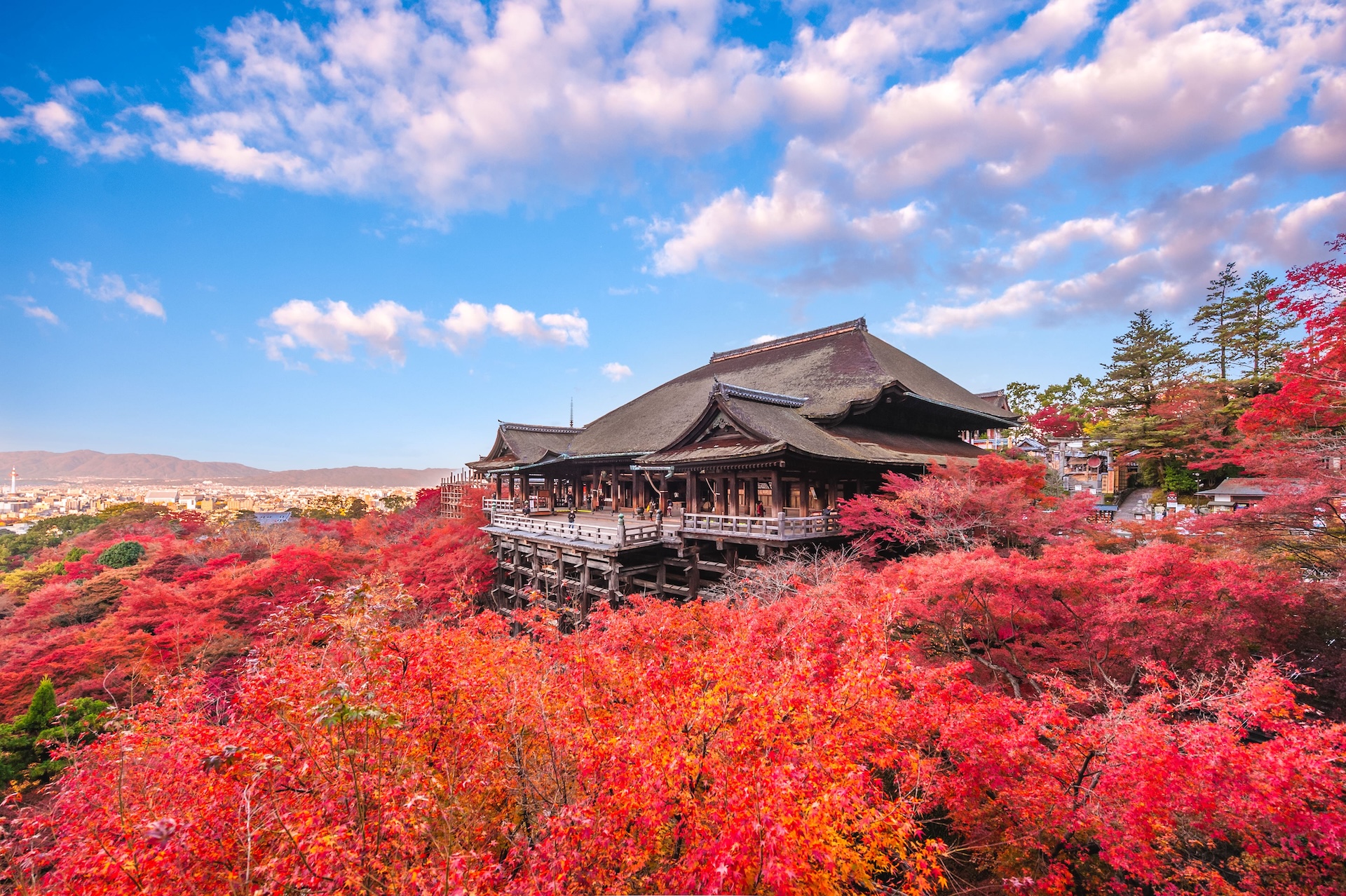 kyoto_img02