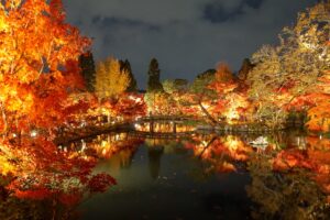 kyoto_img05
